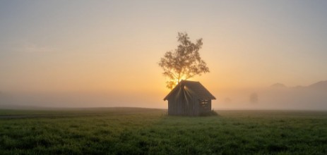 Picture of Dawn