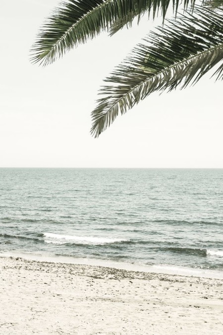 Solaris 03 photowallpaper Scandiwall