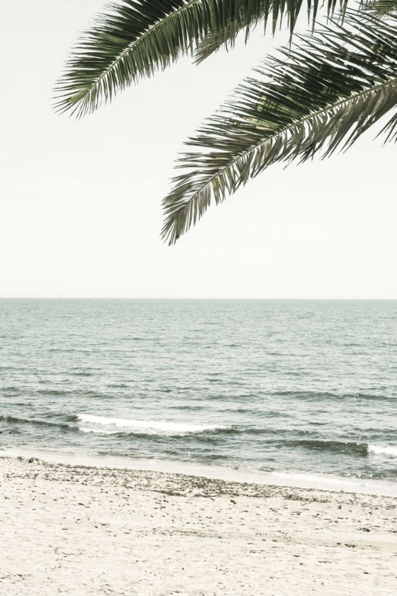 Picture of Solaris 03