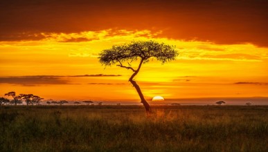 Pilt Primordial Africa