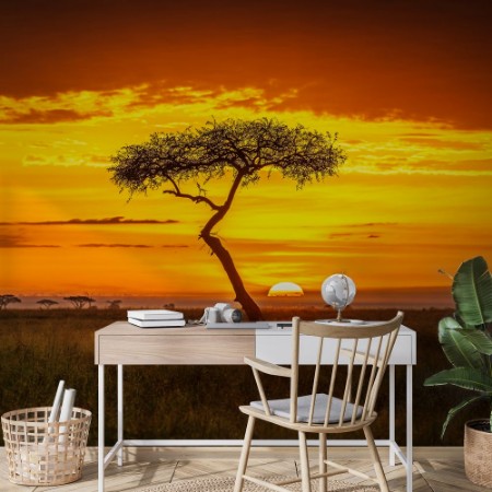 Bild på Primordial Africa