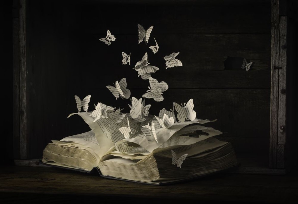 Bild på Lepidopterology