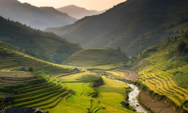 Slika Terraced Rice Fields