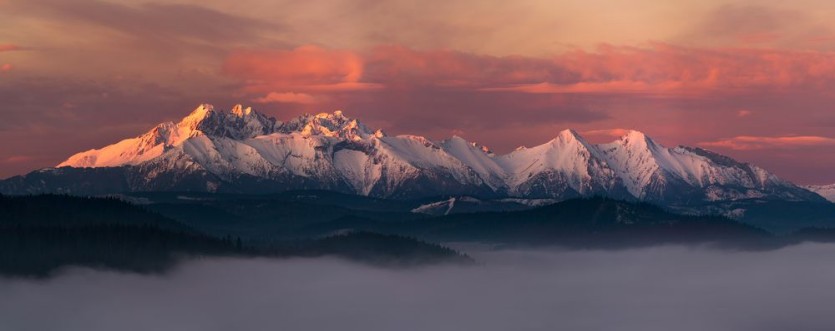 Image de Above the Fog