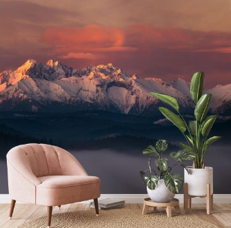 Image de Above the Fog