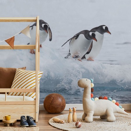 Picture of Gentoo Penguins