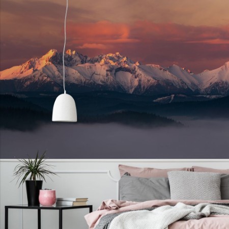 Image de Above the Fog