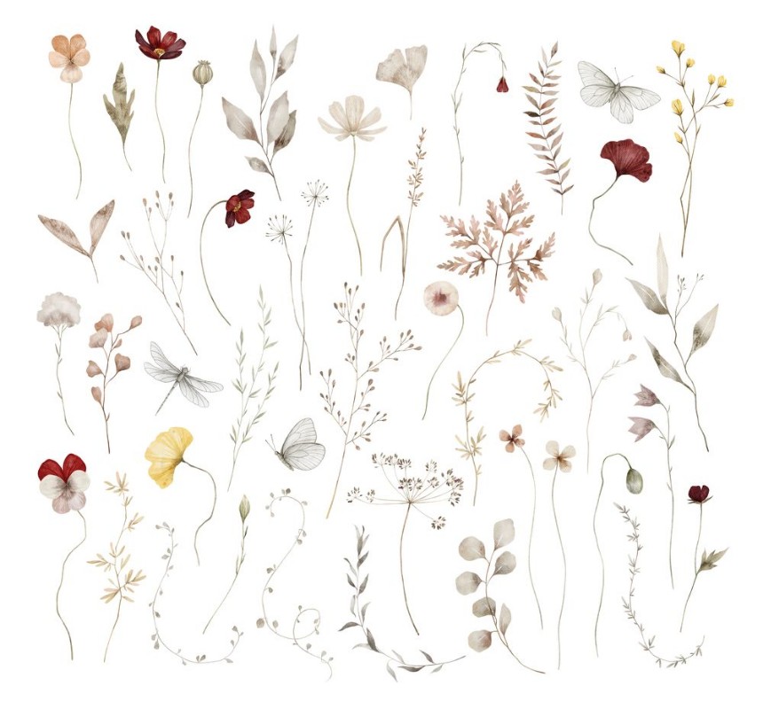 Image de Summer's Botanical Ballet