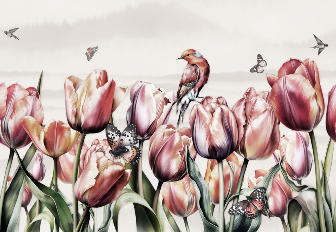 Image de Tulip Dreams