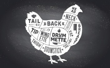 Slika Chicken Map