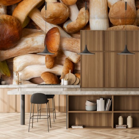 Picture of Boletus Edulis