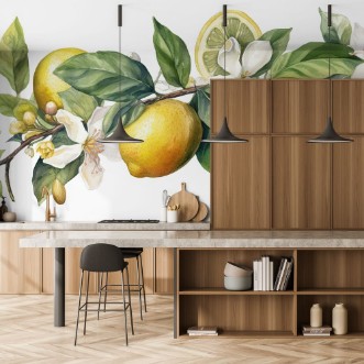 Image de Citrus Blossom