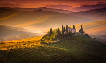Image de Fields of Gold