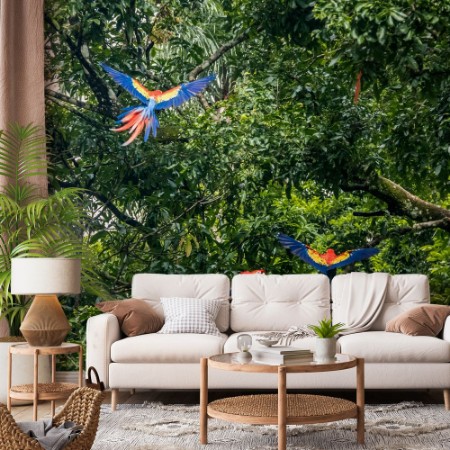 Picture of Scarlet Macaws