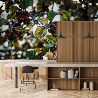 Image de Ripe Hawthorn