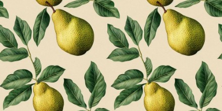 Ritratt ta’ Pattern of Pears