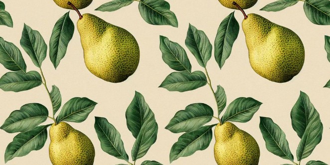 Picture of Pattern of Pears