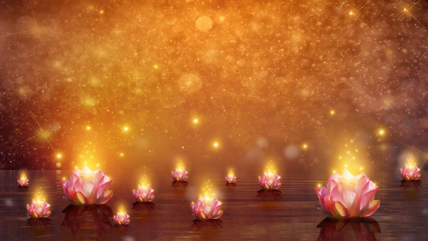 Picture of Lotus Magic