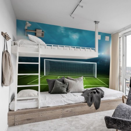 Bild på Stadium with soccer ball