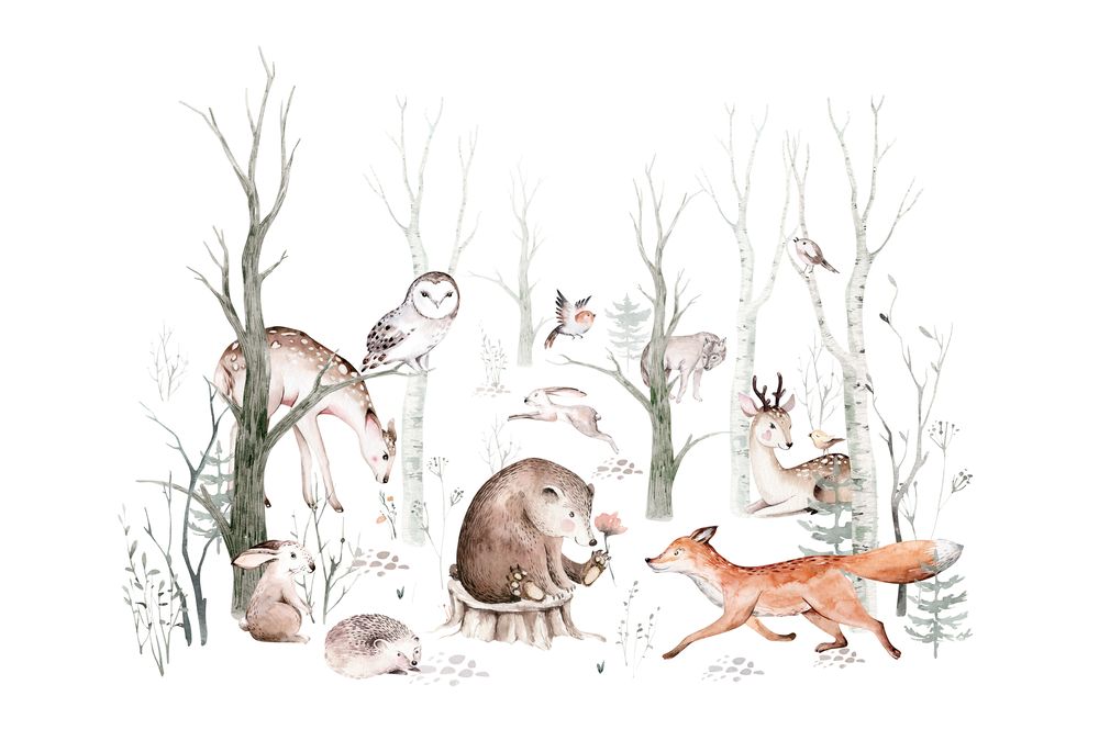 Woodland Animals photowallpaper Scandiwall