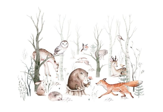 Woodland Animals photowallpaper Scandiwall