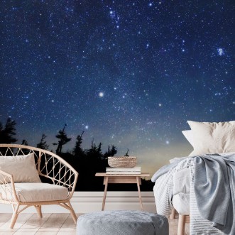 Image de Milky Way in Autumn and Winter