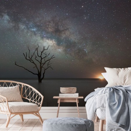 Picture of Botany Bay Beach under the Milky Way