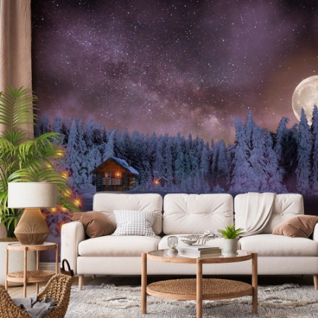 Picture of Christmas Tree in the Black Forest