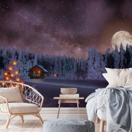 Picture of Christmas Tree in the Black Forest