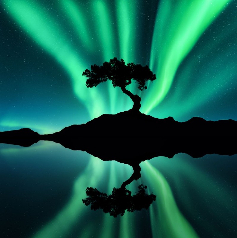 Afbeeldingen van Reflection