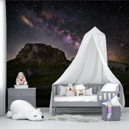 Picture of Lone Rock Milky Way