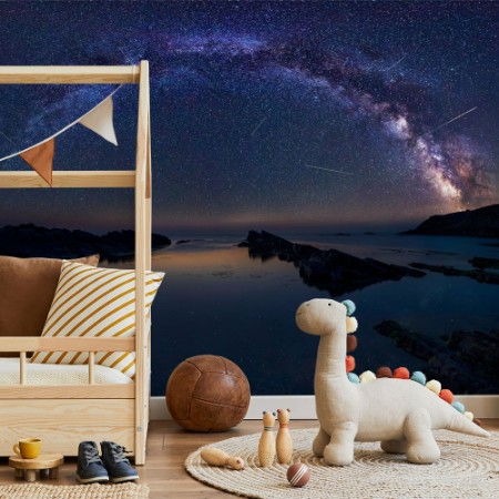 Picture of Perseids flow above the Black sea