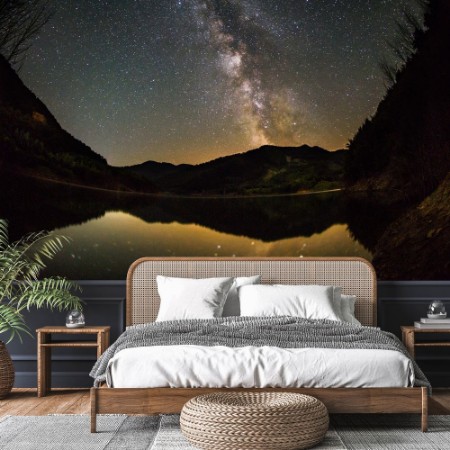 Picture of Milky Way Landscape