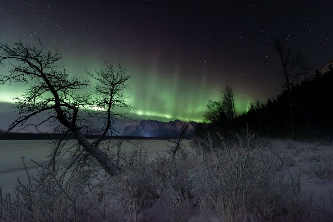 Afbeeldingen van Old Glenn Highway