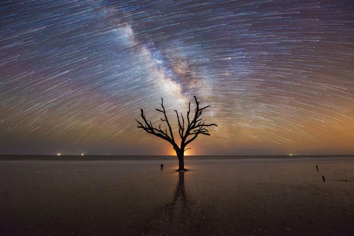 Picture of Tree in Star Trail