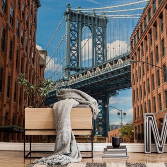 Image de Below Brooklyn Bridge