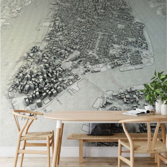 Image de New York Map
