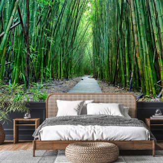 Imagem de Bamboo Forest