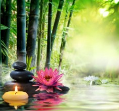 Picture of Massage in Nature