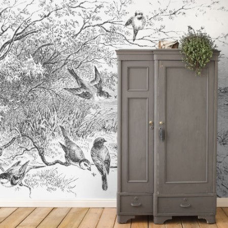 Image de Birds on Branches