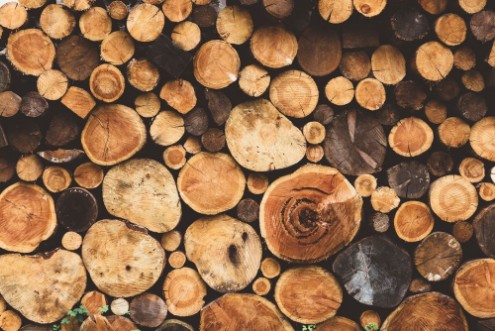 Firewood Texture photowallpaper Scandiwall