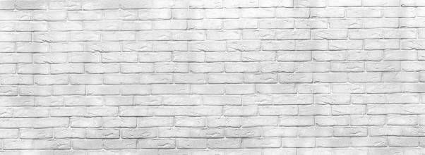 Image de Panoramic Brick Wall