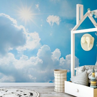 Picture of Summer Sky