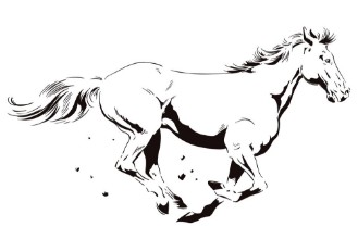 Picture of Galloping horse