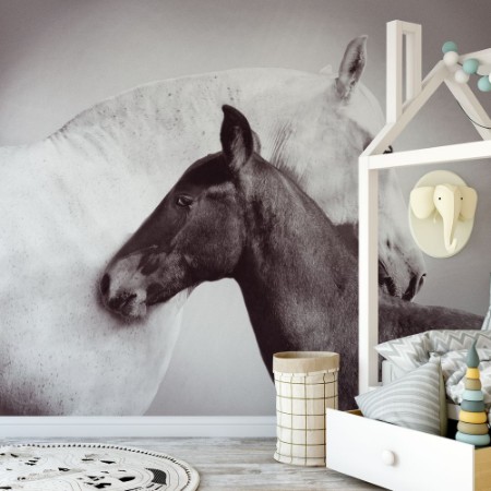 Image de Andalusian Mare with Foal