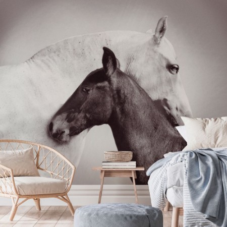 Image de Andalusian Mare with Foal