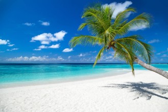Picture of Paradise Island