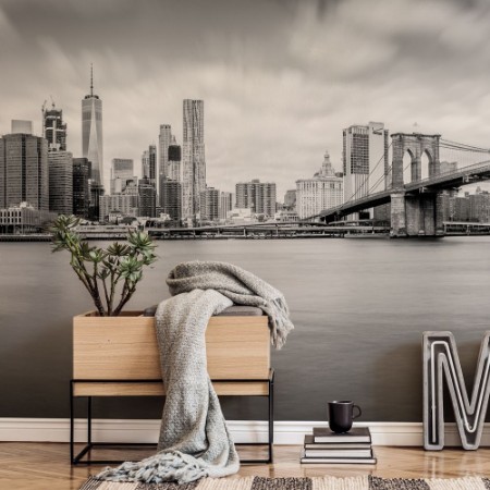 Picture of Manhattan from Brooklyn