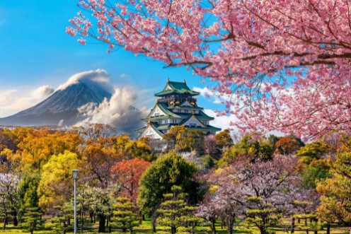 Picture of Osaka Castle