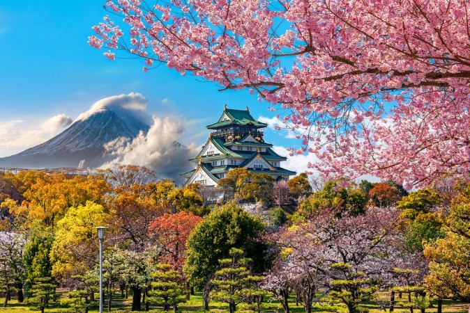 Picture of Osaka Castle